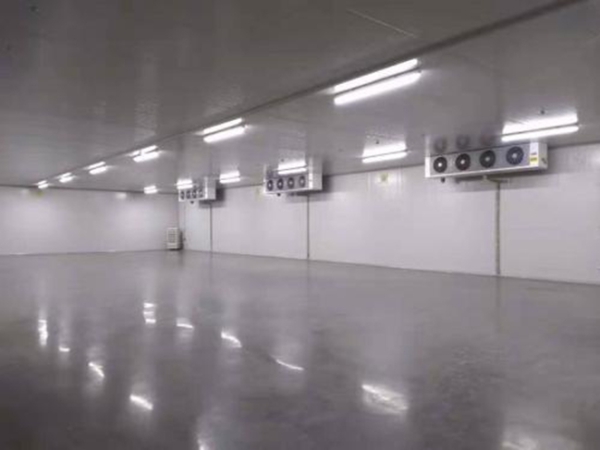 建設(shè)1500㎡食品速凍低溫庫(kù)優(yōu)勢(shì)及應(yīng)用有哪些？